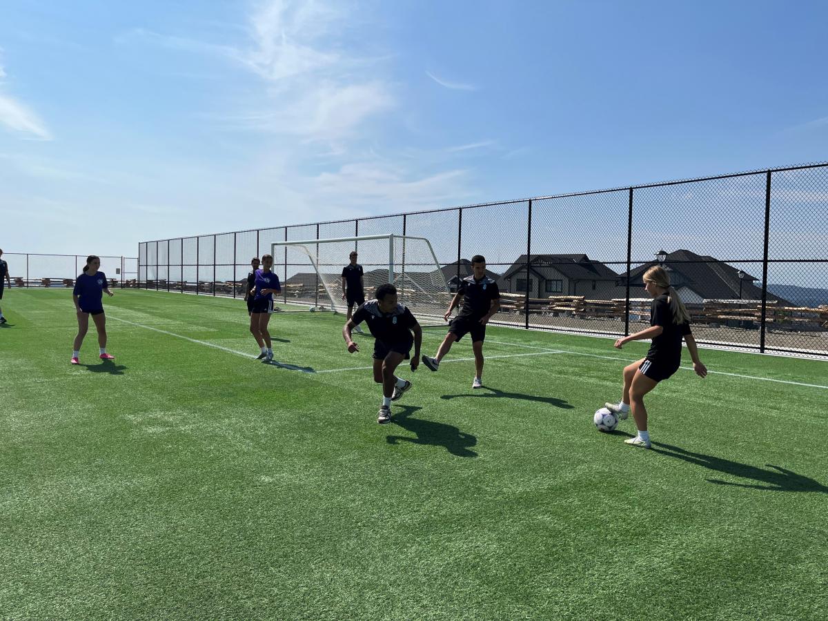 Soccer players on a field with a ball.