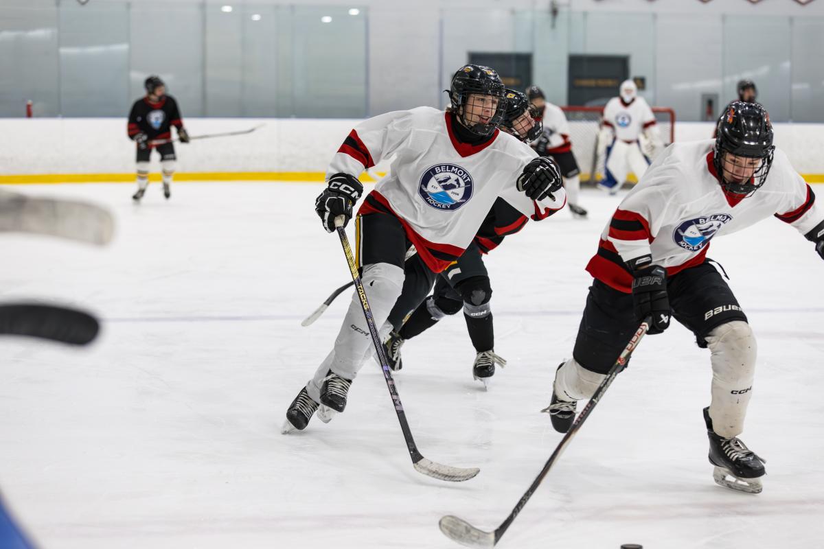 Picture of children playing ice hockey.
